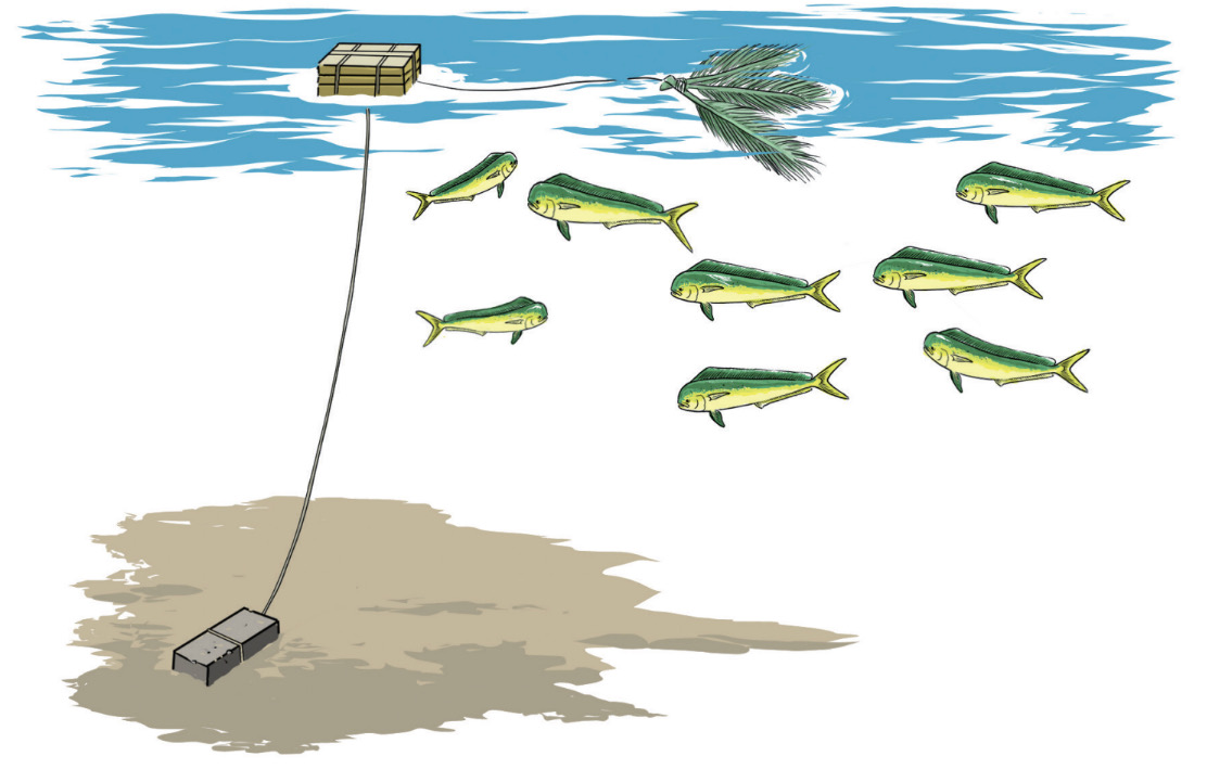 New Mediterranean and Black Sea fishing gear catalogue a milestone for